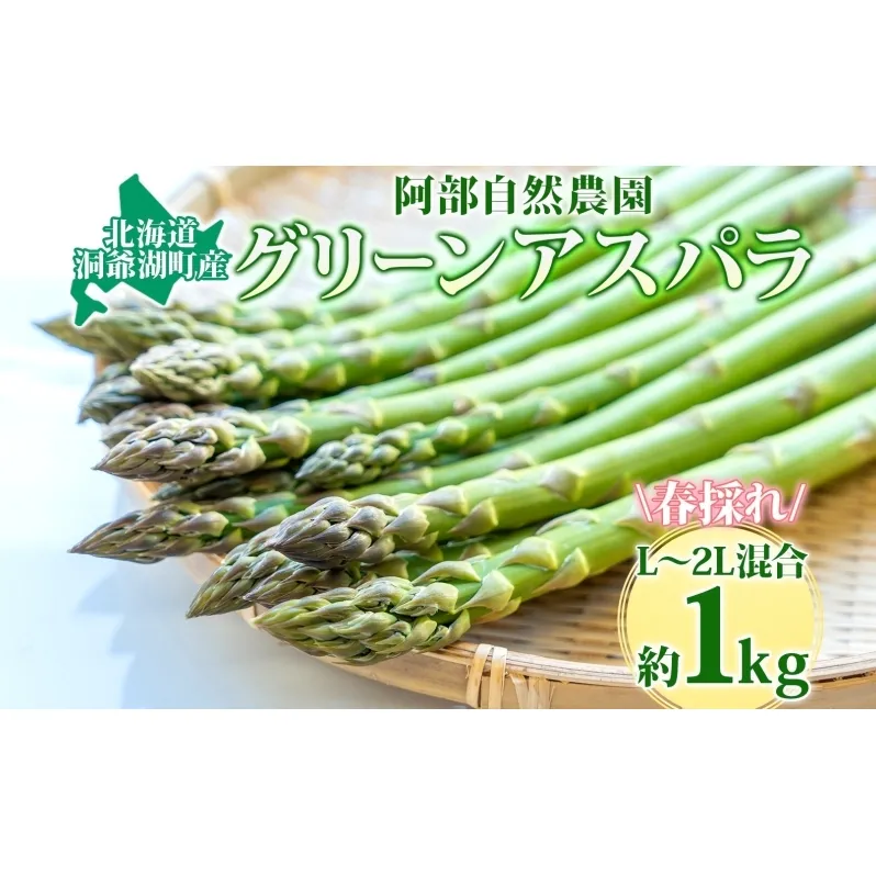 北海道 洞爺湖町産 グリーンアスパラ 約1kg L～2L混合 5月下旬頃お届け 2025 先行受付 路地 アスパラ アスパラガス 野菜 農作物 サラダ 天ぷら 新鮮 国産 人気 お取寄せ 産地直送 冷蔵 洞爺湖 