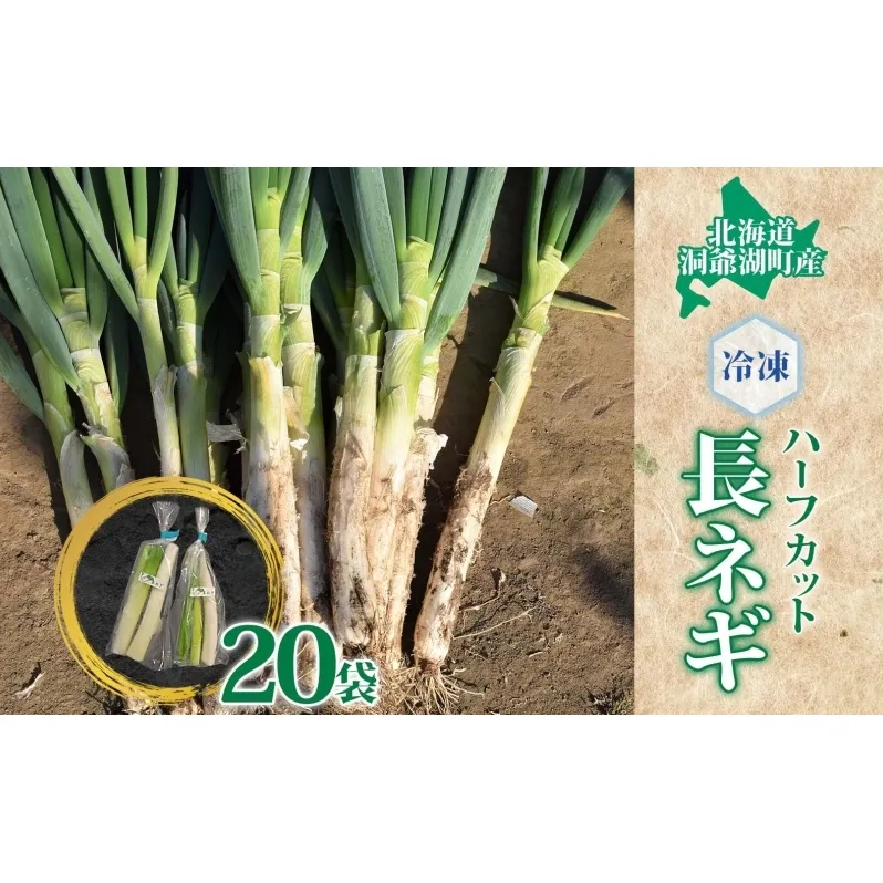 役に立ちます 冷凍カット野菜 長ねぎ1/2分×20袋 長ネギ 料理 小分け 便利 野菜 