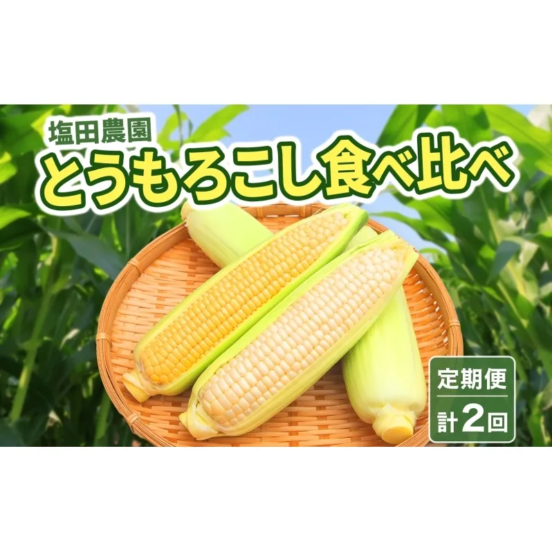 定期便 全2回 北海道産 朝採りとうもろこし 2種 食べ比べ 8月・9月 計2回お届け 恵味 めぐみ ゴールド ピュアホワイト トウモロコシ 先行受付 夏 野菜 新鮮 産地直送 塩田農園 送料無料 北海道 洞爺湖町 
