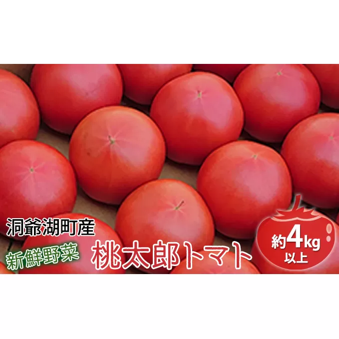 洞爺湖の新鮮野菜「桃太郎トマト」約4kg以上(24～18玉)  ※6月末頃より順次出荷