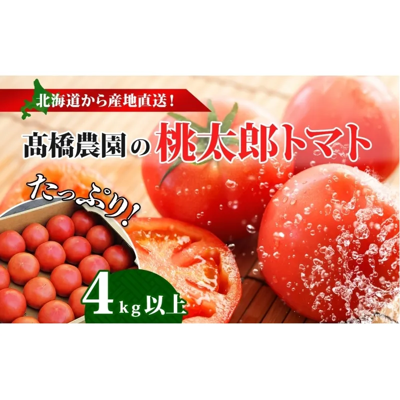 北海道 高橋農園 桃太郎トマト 4kg以上 M～Lサイズ (18玉～24玉) 5月下旬～9月上旬お届け 大玉トマト tomato 産地直送 農家直送 新鮮 野菜 安心 安全 とれたて 完熟 洞爺湖町 送料無料
