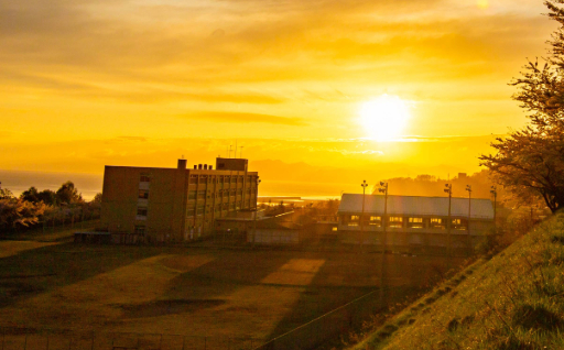 育英資金及び学校教育事業