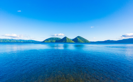 使途は町におまかせ