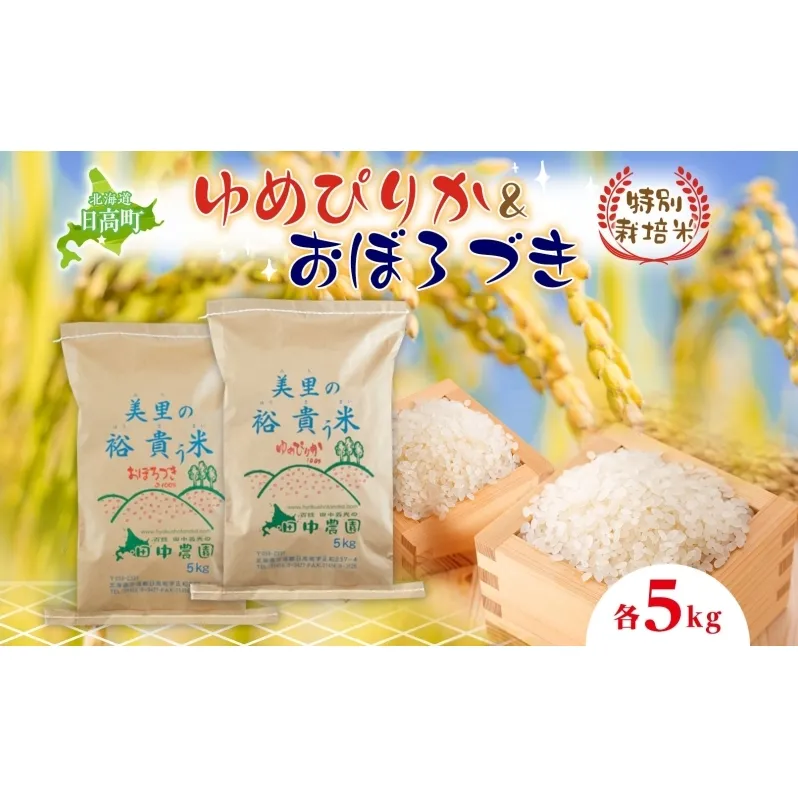 田中農園 令和6年度 ゆめぴりか＆おぼろづき 各5kg 食べ比べ セット 米 こめ コメ 白米 白飯 ご飯 ごはん ふっくら つややか 豊かな甘み ほどよい粘り 特別栽培 日高町