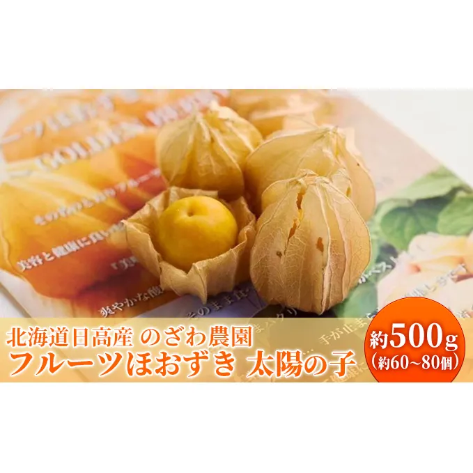 【2026年発送 先行予約】【 のざわ農園 】 フルーツ ほおずき 「 太陽の子 」約500g 北海道 日高産 希少 ホオズキ