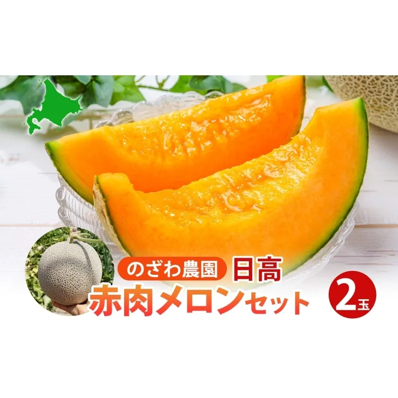 【 ふるさと納税 】のざわ農園 日高 赤肉メロン 2玉 めろん メロン 赤い 甘い 夏 フルーツ 果実 ルピアレッド  糖度 甘み 濃厚 肥料 贈り物 お中元 お歳暮 常温 冷蔵庫 家族 デザート のざわ農園 北海道 日高町