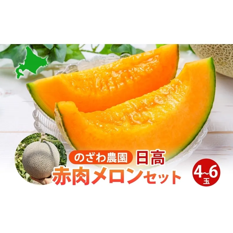 【 ふるさと納税 】のざわ農園 日高 赤肉メロン 4～6玉 約8kg～9kgめろん メロン 甘い 夏 フルーツ 果実 ルピアレッド  糖度 甘み 濃厚 肥料 贈り物 お中元 お歳暮 常温 冷蔵庫 家族 デザート のざわ農園 北海道 日高町