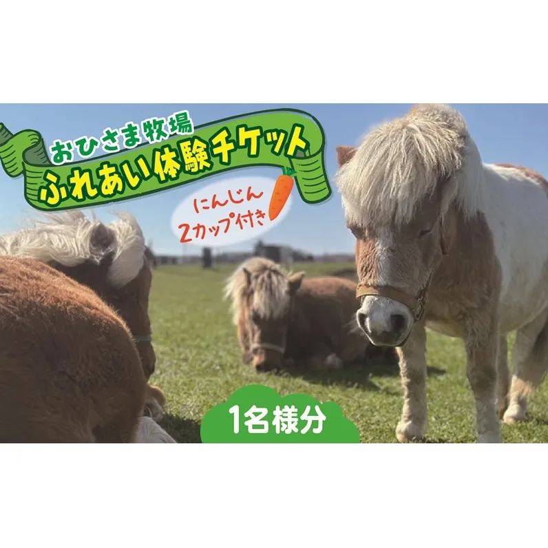 おひさま牧場ふれあい体験チケット（人参２カップ付き）