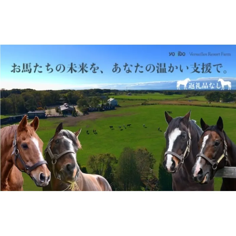 返礼品なし 3千円 Yogiboヴェルサイユリゾートファーム 牧場 引退馬 馬 支援 yogibo Versailles Resort Farm 北海道 日高町