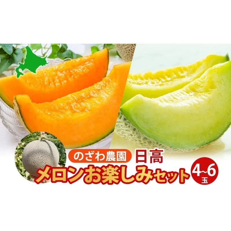 【2026年発送 先行予約】のざわ農園 日高 赤肉メロン 4～6玉 約8kg～9kg めろん メロン 赤い 甘い 夏 フルーツ 果実 ルピアレッド 糖度 甘み 濃厚 肥料 贈り物 お中元 お歳暮 常温 家族 デザート のざわ農園 北海道 日高町