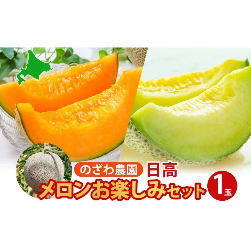 【2026年発送 先行予約】のざわ農園 日高 赤肉メロン 1玉 めろん メロン 赤い 青い 甘い 夏 フルーツ 果実 ルピアレッド 糖度 甘み 濃厚 肥料 贈り物 お中元 お歳暮 常温 冷蔵庫 家族 デザート のざわ農園 北海道 日高町