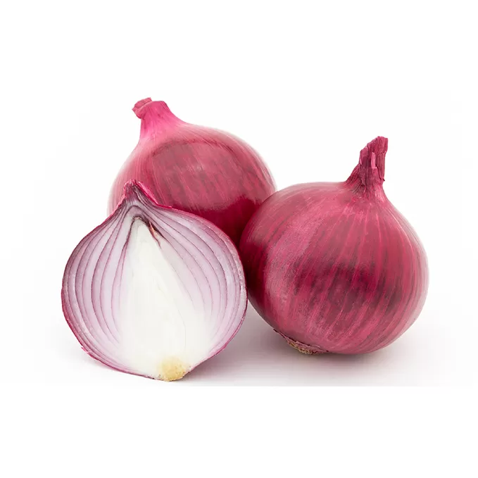 北海道 日高産 紫玉ねぎ 約18kg 国産 北海道産 野菜 産地直送 お取り寄せ