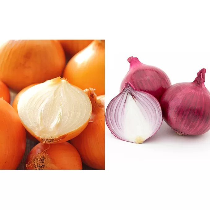 北海道　日高産　玉ねぎ2種 玉ねぎ約13kg 紫玉ねぎ約5kg 国産 北海道産 野菜 産地直送 お取り寄せ