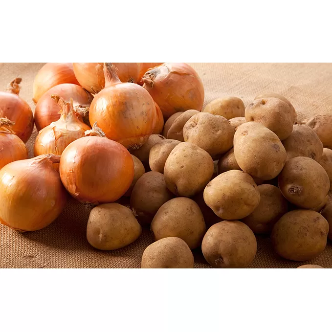 北海道　北海道野菜 じゃがいも 玉ねぎ 8～9kgセット 国産 北海道産 野菜 産地直送 お取り寄せ