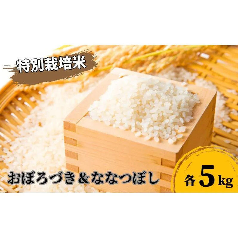 北海道 日高【田中農園】R7年産 おぼろづき ＆ ななつぼし 各5kg 食べ比べ セット 特別栽培米