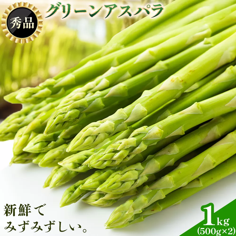 アスパラガス 秀品 アスパラ グリーンアスパラ 2L サイズ 1kg (500g×2) 門別町農業協同組合(生活資材課)《4月上旬-5月末頃出荷》北海道 日高町 送料無料 春野菜 春 朝採り 朝採れ お取り寄せ