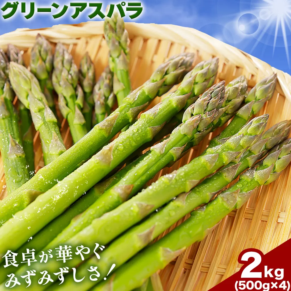 アスパラガス アスパラ グリーンアスパラ L サイズ 2kg (500g×4) 門別町農業協同組合(生活資材課) 《4月上旬-5月末頃出荷》北海道 日高町 送料無料 春野菜 春 朝採り 朝採れ お取り寄せ