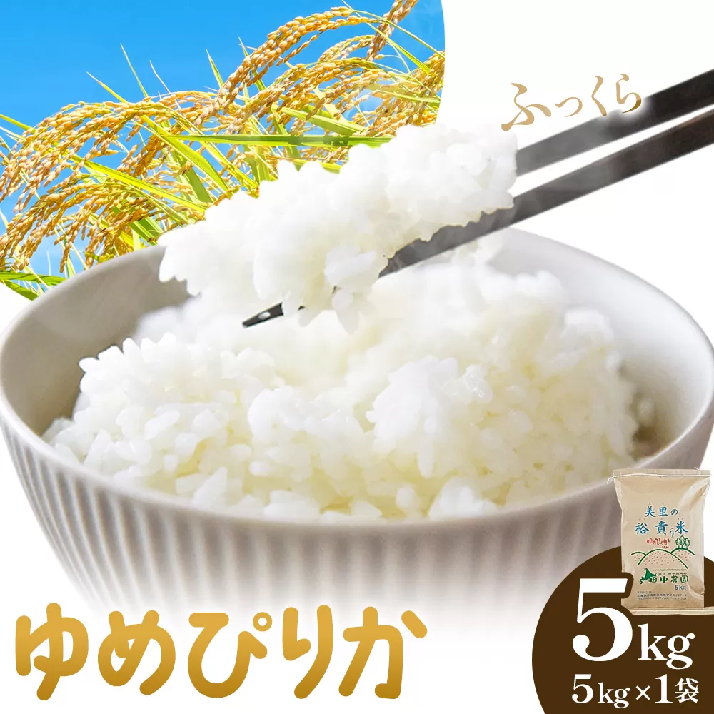 令和7年産 ゆめぴりか 5kg 5kg×1袋 田中農園《90日以内に出荷予定(土日祝除く)》北海道 日高町 米 白米 精米 お米 北海道日高町
