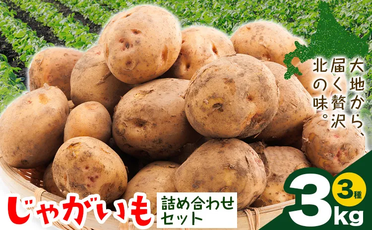 じゃがいも詰め合わせセット 3kg 10種のうち3種をお届け メークイン 男爵 とうや 十勝こがね キタアカリ アンデスレッド インカのめざめ インカのひとみ きたかむい のざわ農園 《9月上旬-12月末頃出荷予定》 北海道 日高町 いも 芋 じゃがいも 野菜