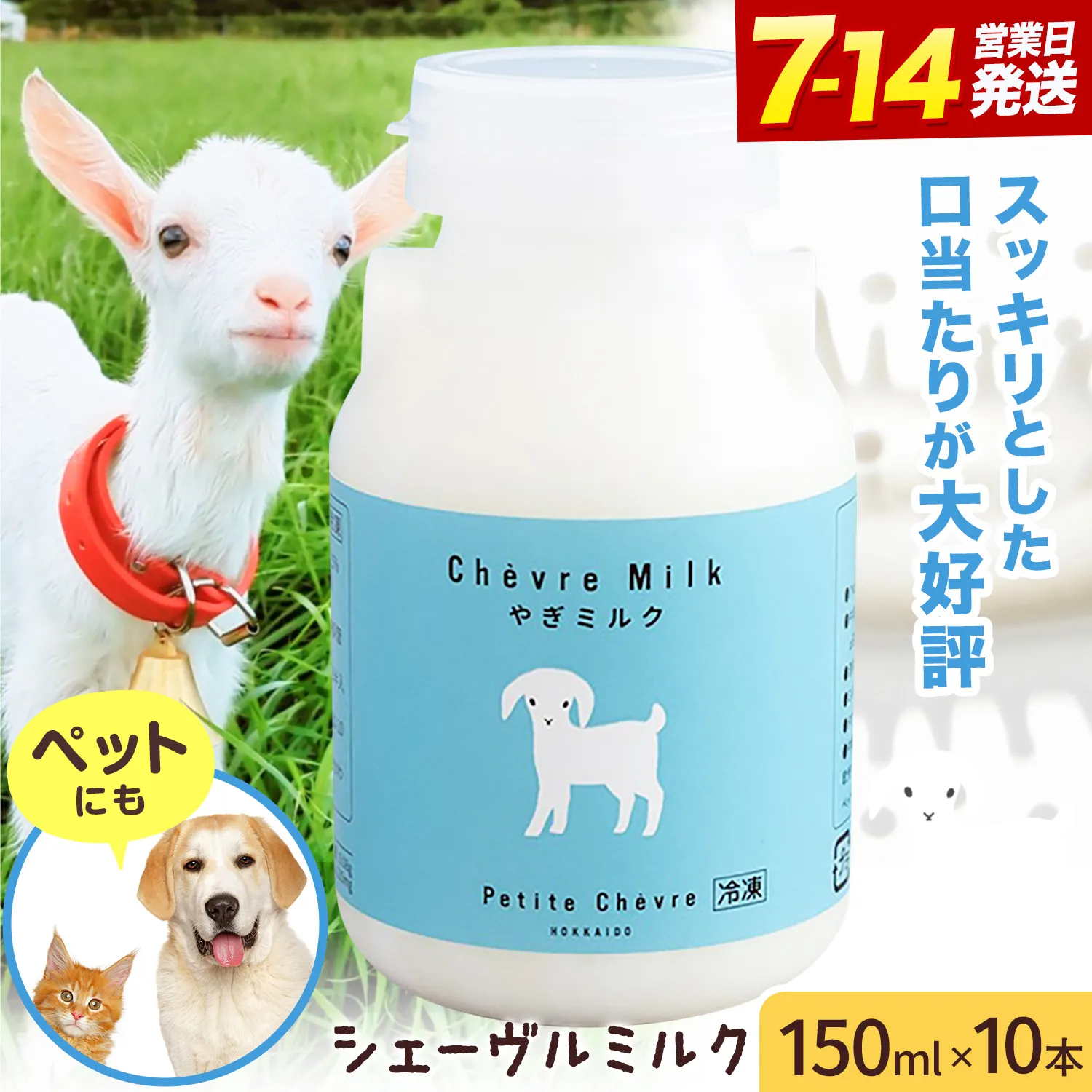 ミルク シェーヴルミルク 150ml 10本 《7-14日以内に出荷予定(土日祝除く)》 プティ・シェーヴル北海道 北海道 日高町 お菓子 スイーツ やぎ スッキリ 口当たり 新鮮 栄養豊富 やぎミルク 臭み無し さわやか
