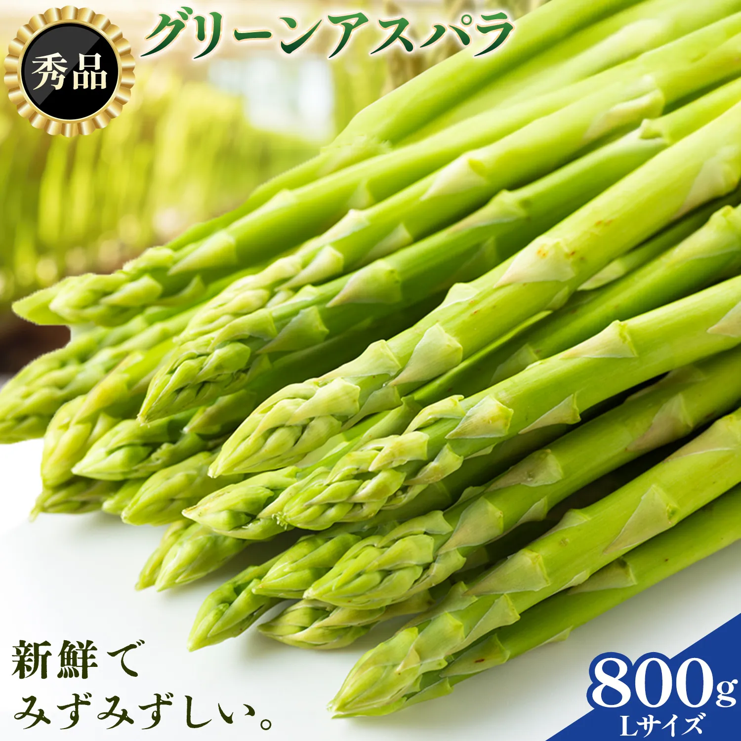 アスパラガス 秀品 アスパラ グリーンアスパラ L サイズ 800g (400g×2) 門別町農業協同組合(生活資材課) 《4月中旬-5月末頃出荷予定》北海道 日高町 送料無料 春野菜 春 朝採り 朝採れ お取り寄せ