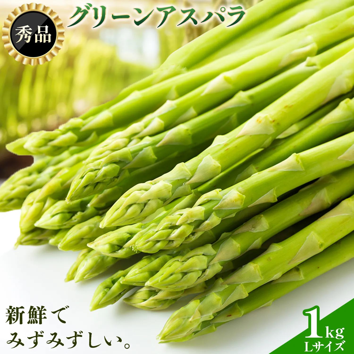 アスパラガス 秀品 アスパラ グリーンアスパラ L サイズ 1kg (500g×2) 門別町農業協同組合(生活資材課) 《4月中旬-5月末頃出荷予定》北海道 日高町 送料無料 春野菜 春 朝採り 朝採れ お取り寄せ