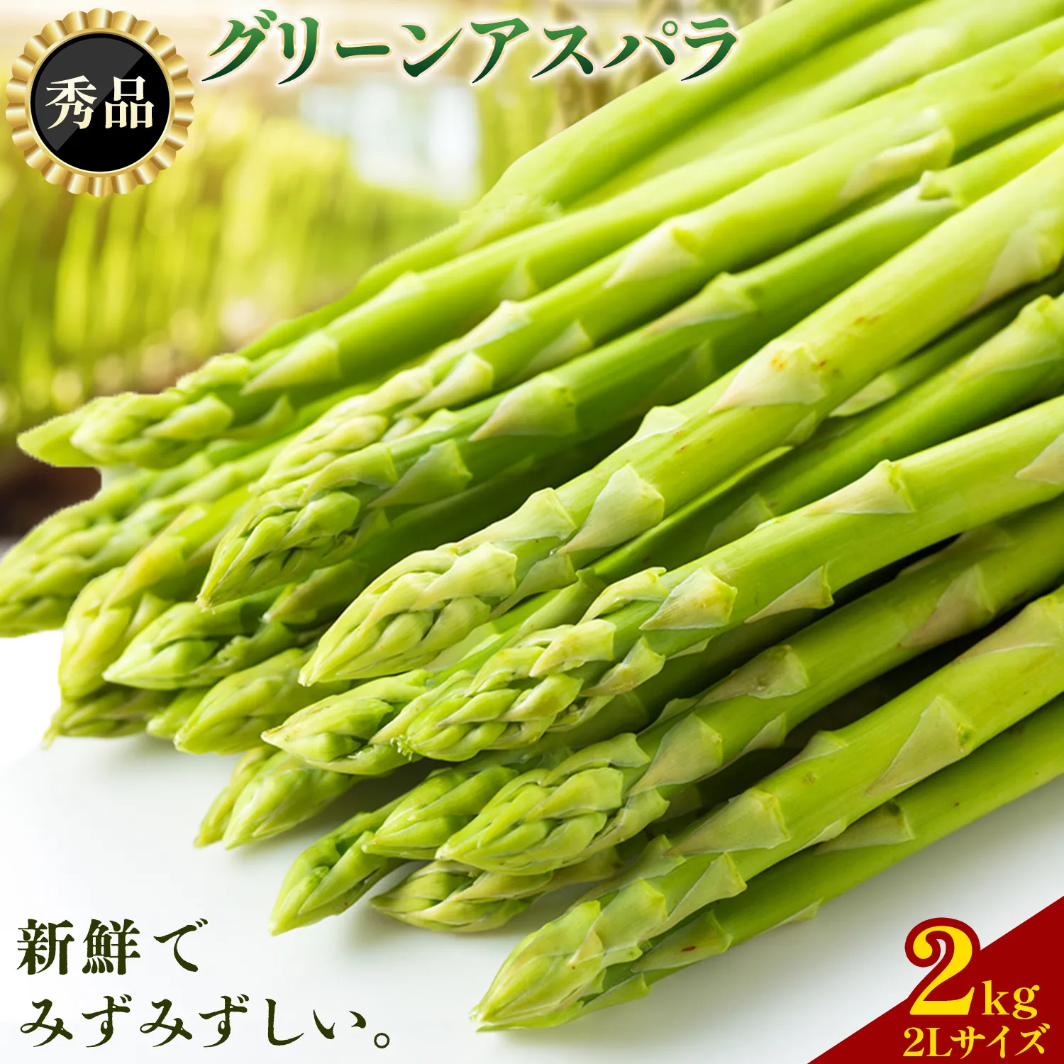 アスパラガス 秀品 アスパラ グリーンアスパラ 2L サイズ 2kg (500g×4) 門別町農業協同組合(生活資材課)《4月中旬-5月末頃出荷予定》北海道 日高町 送料無料 春野菜 春 朝採り 朝採れ お取り寄せ