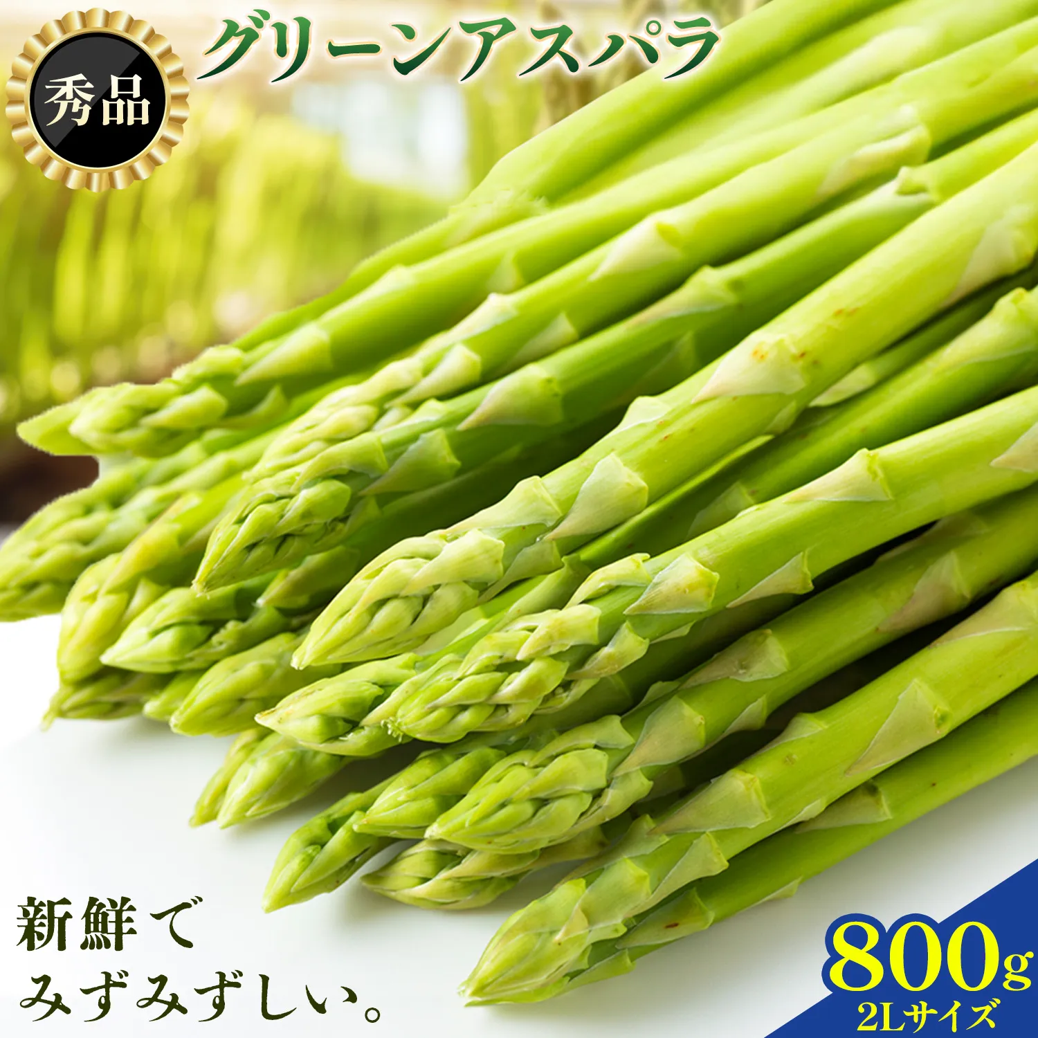 アスパラガス 秀品 アスパラ グリーンアスパラ 2L サイズ 800g (400g×2) 門別町農業協同組合(生活資材課)《4月中旬-5月末頃出荷予定》北海道 日高町 送料無料 春野菜 春 朝採り 朝採れ お取り寄せ