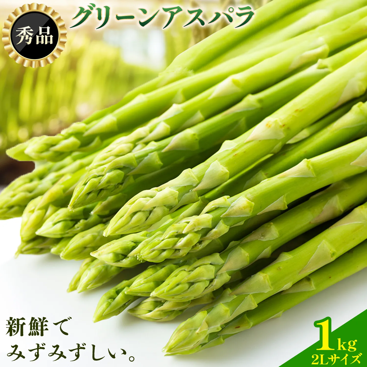 アスパラガス 秀品 アスパラ グリーンアスパラ 2L サイズ 1kg (500g×2) 門別町農業協同組合(生活資材課)《4月中旬-5月末頃出荷予定》北海道 日高町 送料無料 春野菜 春 朝採り 朝採れ お取り寄せ