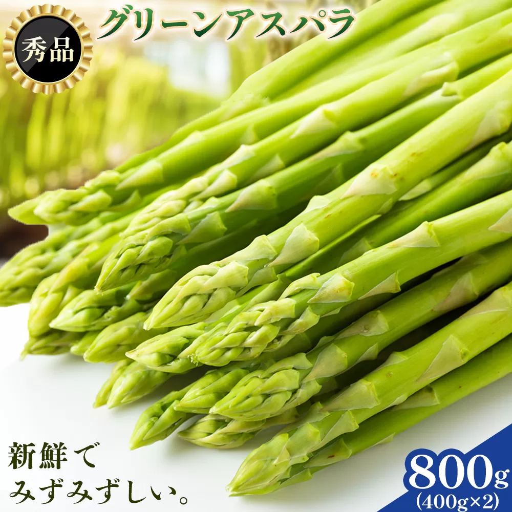 アスパラガス 秀品 アスパラ グリーンアスパラ 2L サイズ 800g (400g×2) 門別町農業協同組合(生活資材課)《4月上旬-5月末頃出荷》北海道 日高町 送料無料 春野菜 春 朝採り 朝採れ お取り寄せ