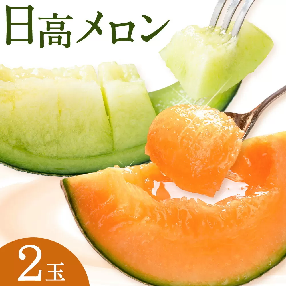 先行予約 日高メロン  2玉 のざわ農園 《7月上旬-8月中旬出荷》2026年 7月出荷 北海道 日高町産 赤肉メロン 青肉メロン 旬 果物 フルーツ めろん デザート 産地直送 お取り寄せ グルメ 贈り物 ギフト 贈答用 プレゼント 送料無料