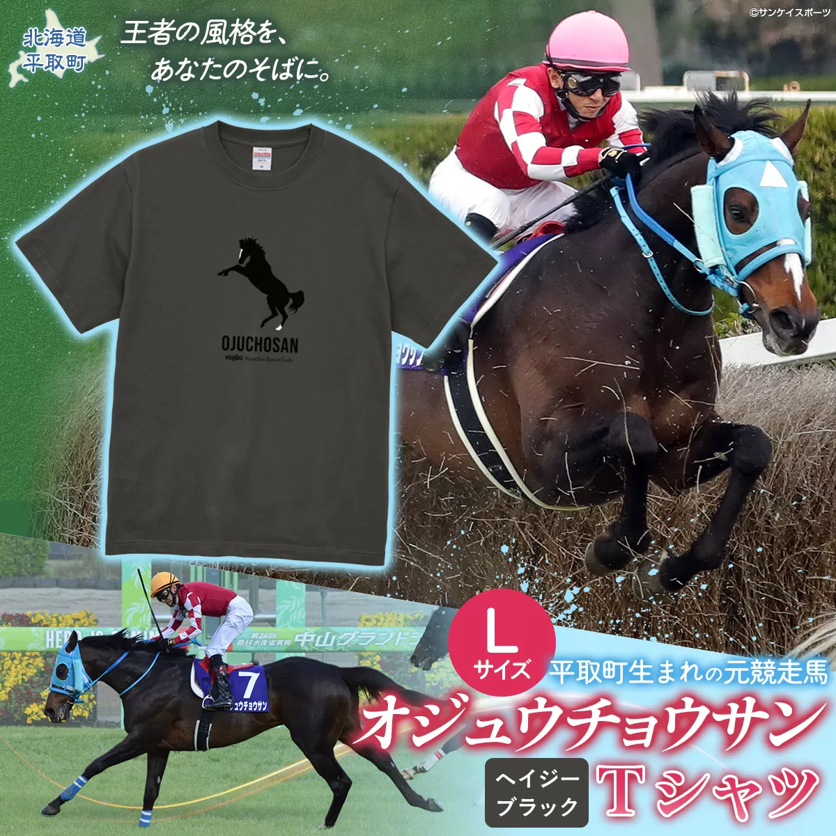 【オジュウチョウサン】Ｔシャツ _Lサイズ（ヘイジーブラック） BRTV004-3