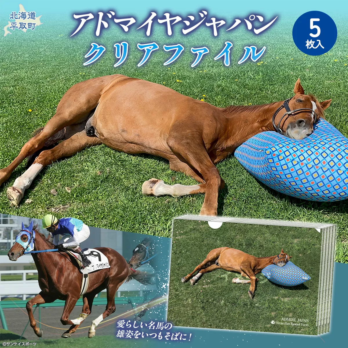 【アドマイヤジャパン×Yogibo】クリアファイル5枚入り BRTV046