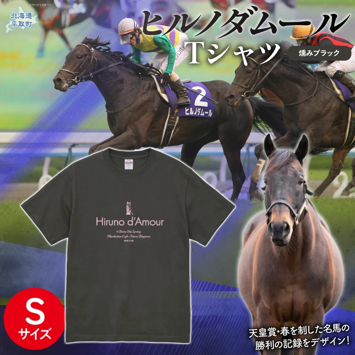 【ヒルノダムール】（燻みブラック）Ｔシャツ 選べる４サイズ【Ｓ】 BRTV300-1