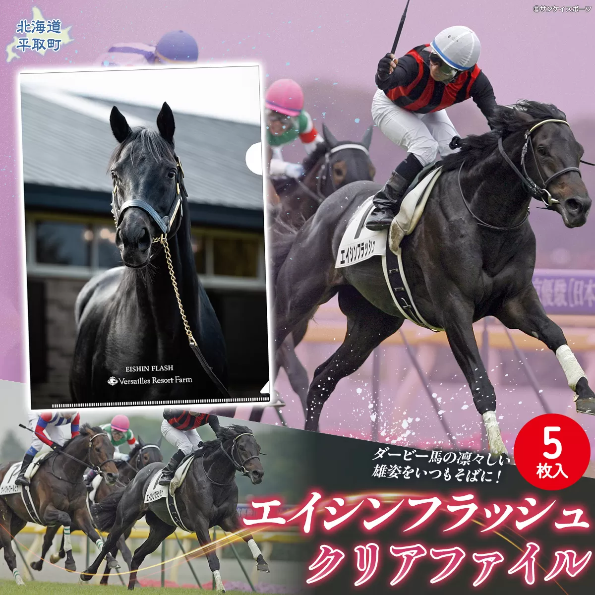 【エイシンフラッシュ】クリアファイル5枚入り BRTV033