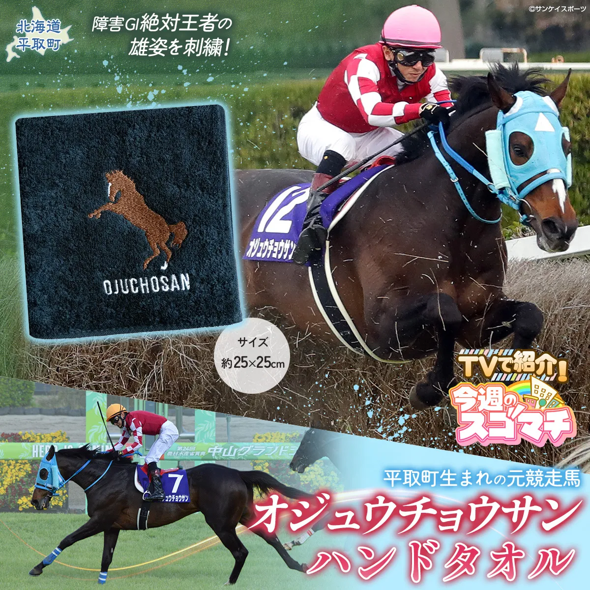 【TVで紹介！】【オジュウチョウサン】ハンドタオル BRTV008