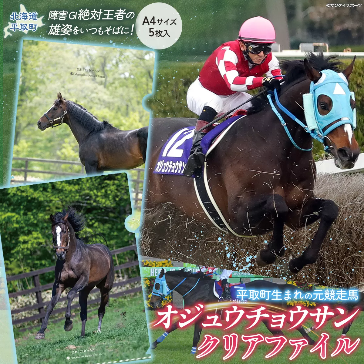 【オジュウチョウサン】クリアファイル(写真)5枚入り BRTV019