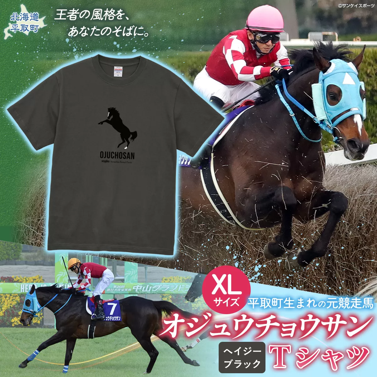 【オジュウチョウサン】Ｔシャツ _XLサイズ（ヘイジーブラック） BRTV004-4