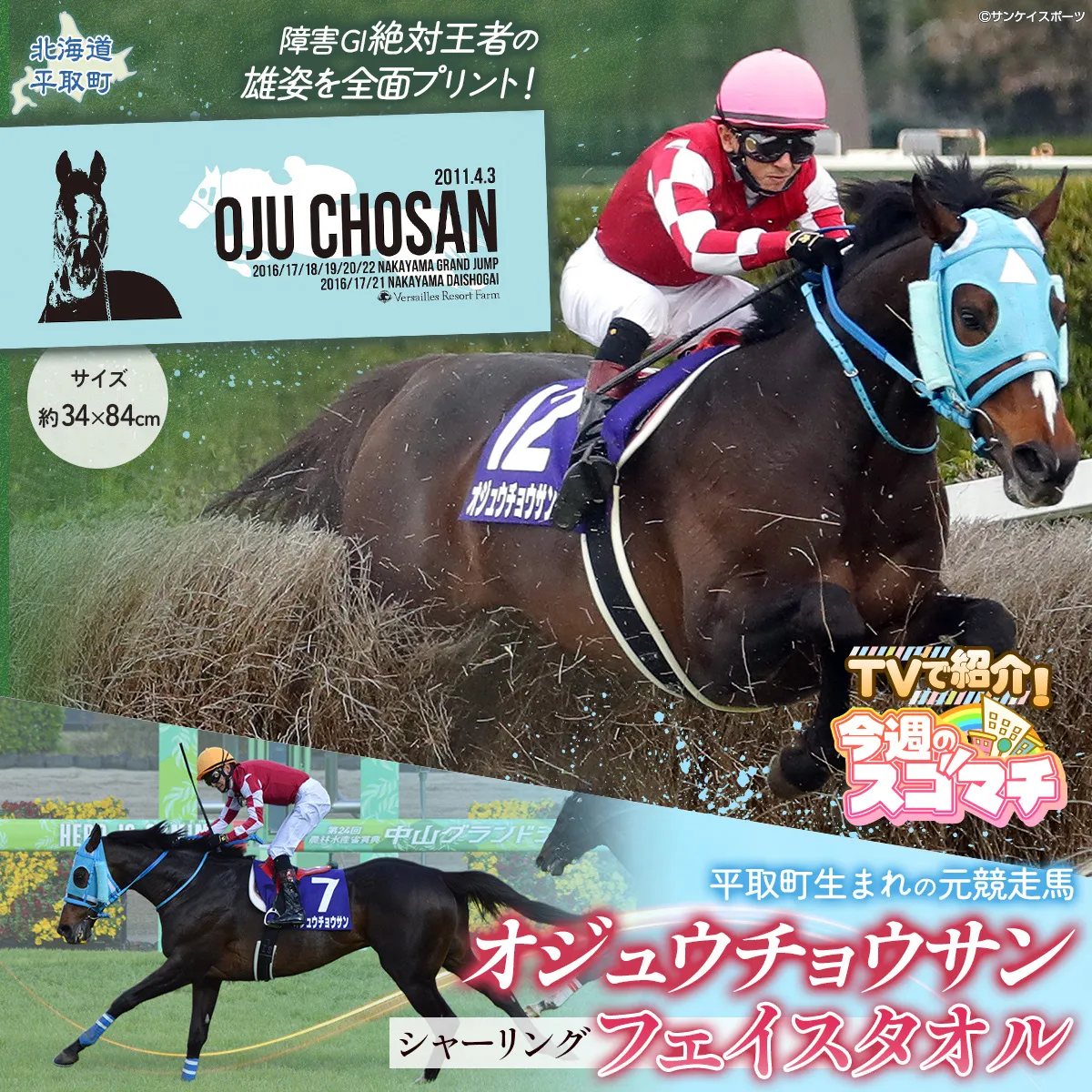 【TVで紹介！】【オジュウチョウサン】シャーリングフェイスタオル BRTV010