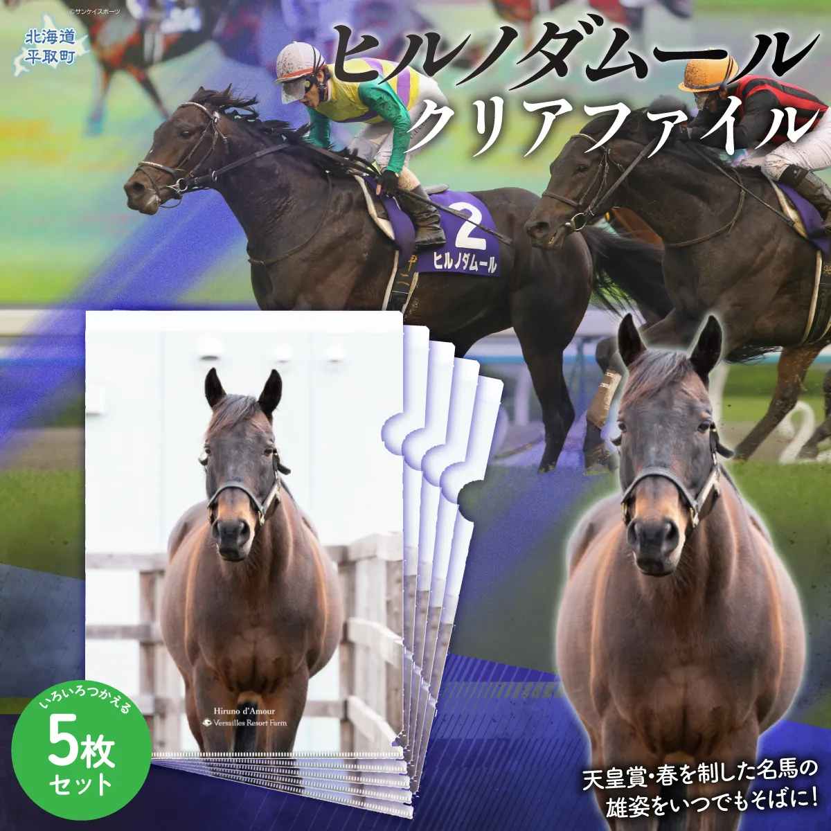 【ヒルノダムール】クリアファイル 写真5枚入り BRTV303