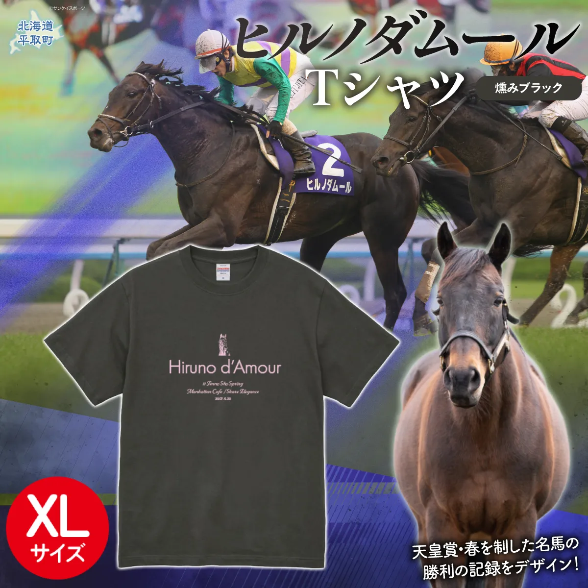 【ヒルノダムール】（燻みブラック）Ｔシャツ 選べる４サイズ【ＸＬ】 BRTV300-4