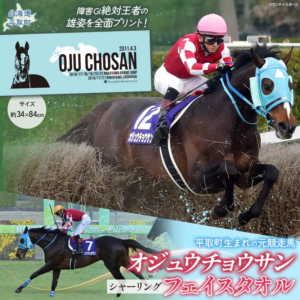 【オジュウチョウサン】シャーリングフェイスタオル BRTV010