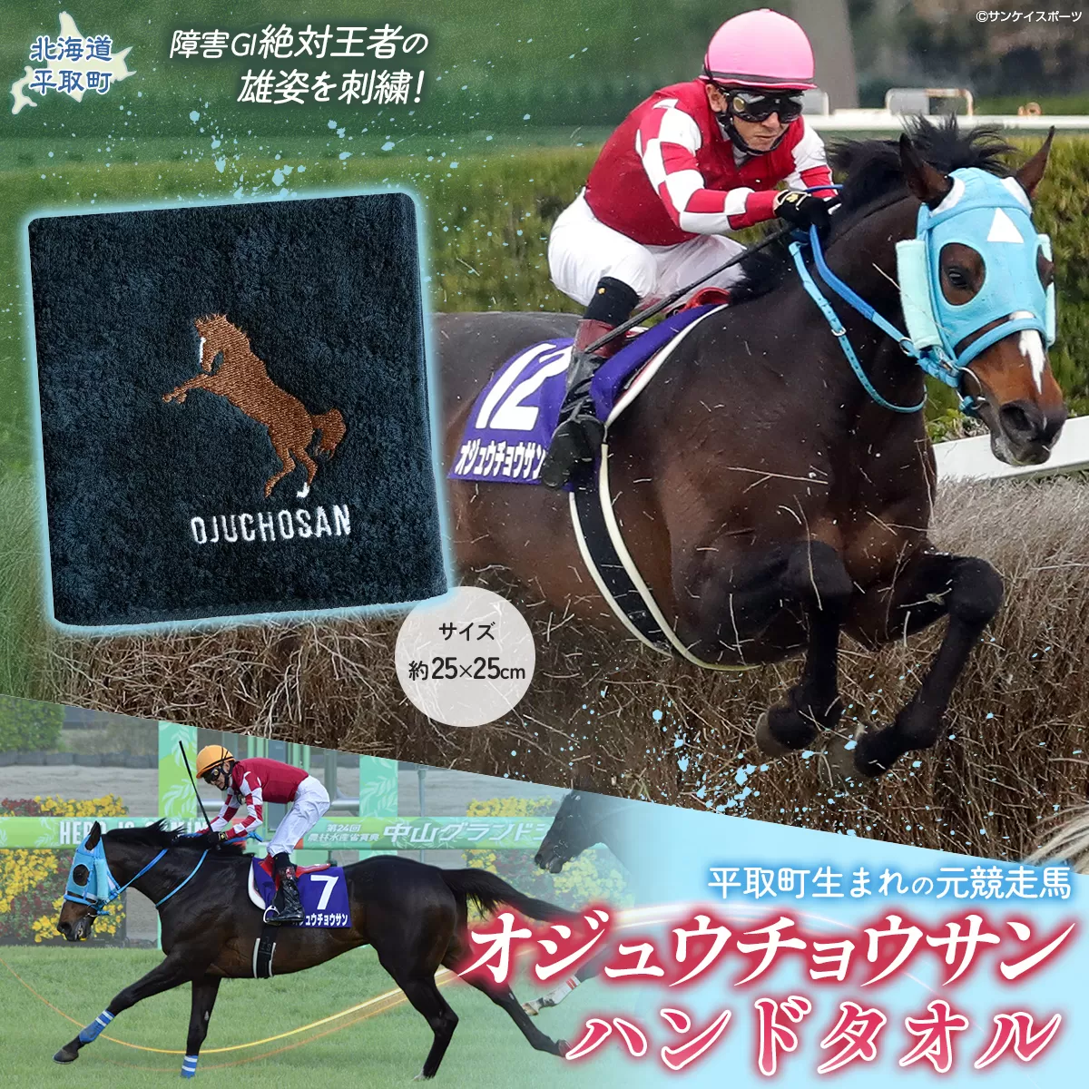 【オジュウチョウサン】ハンドタオル BRTV008