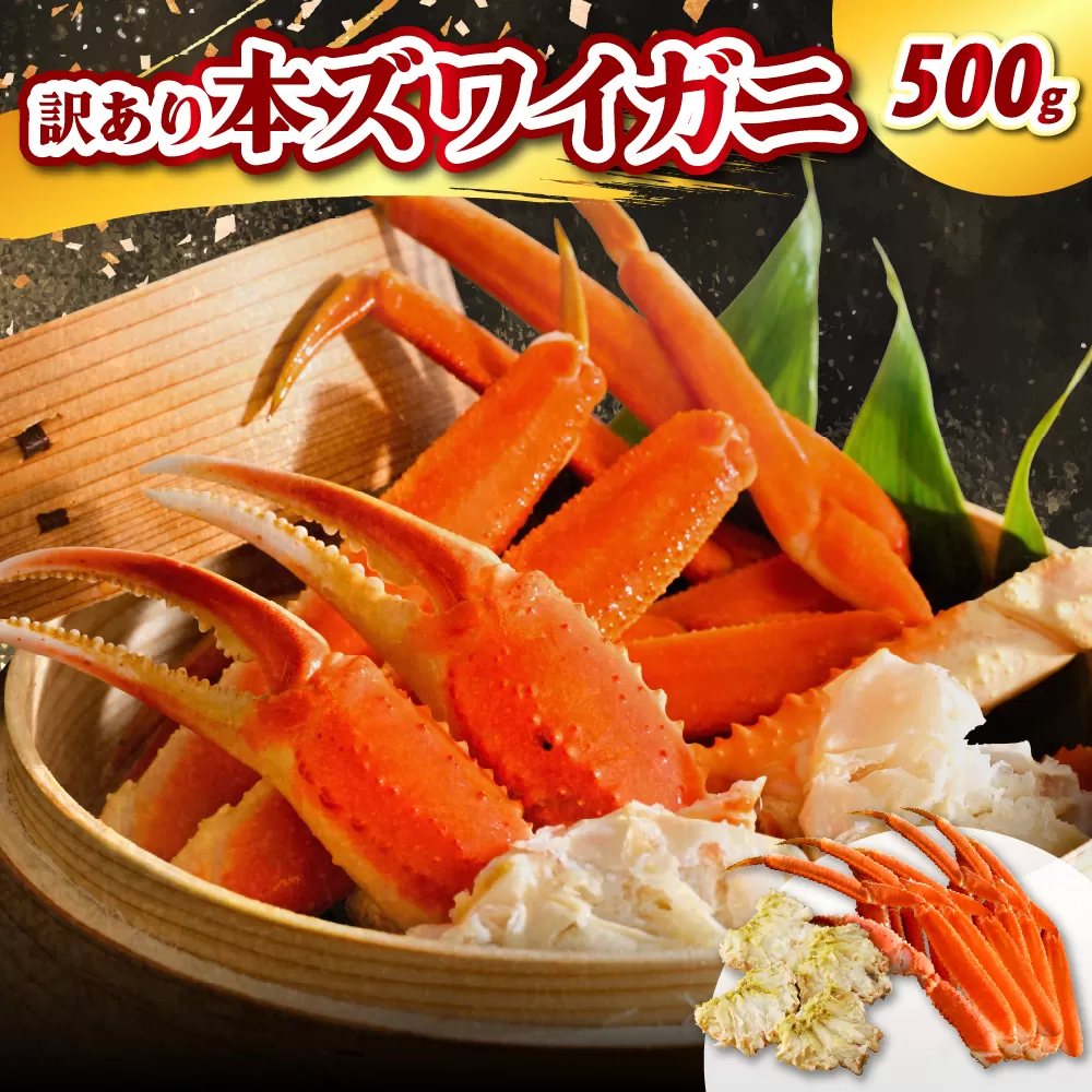 訳アリ本ズワイガニ（500g）【er021-007】蟹 かに カニ脚 足 ボイル 茹で わけあり 規格外 不揃い 魚介 魚介類 海鮮 海の幸 海産物 冷凍 お取り寄せ 送料無料 北海道 えりも町