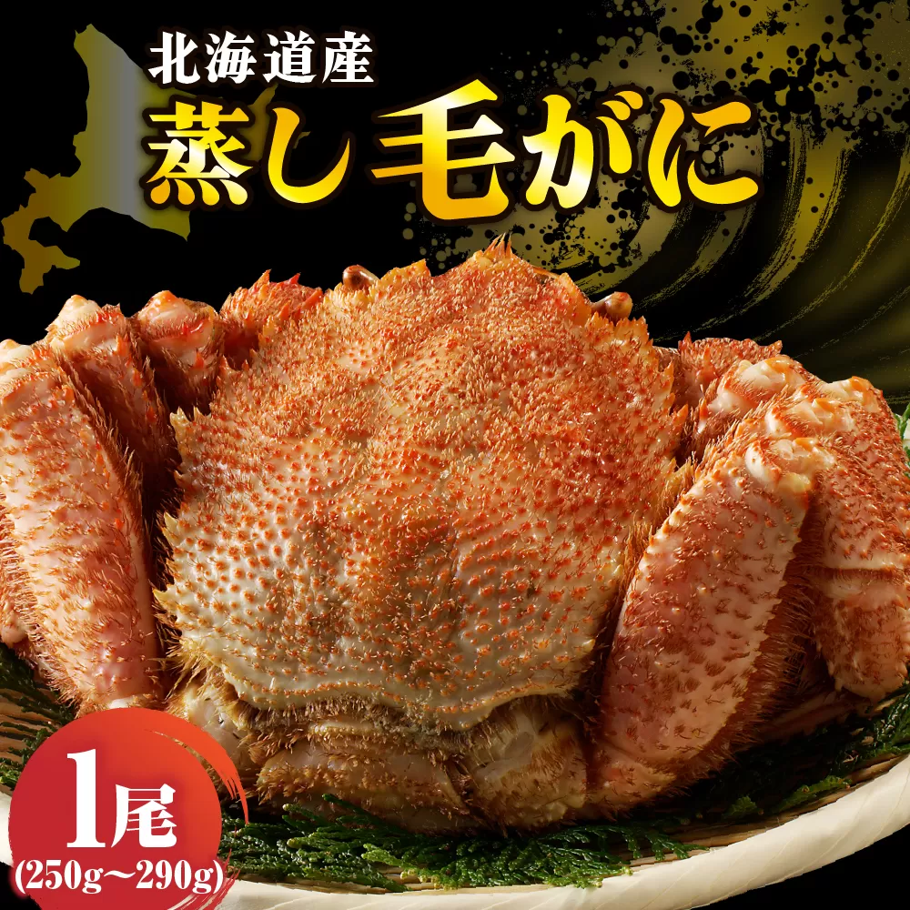 北海道産活蒸し毛蟹約250g～約290g×1尾【er001-107】