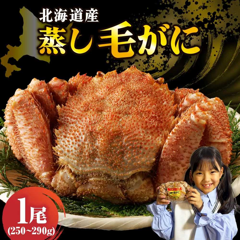 北海道産活蒸し毛蟹約250g～約290g×1尾【er001-107】