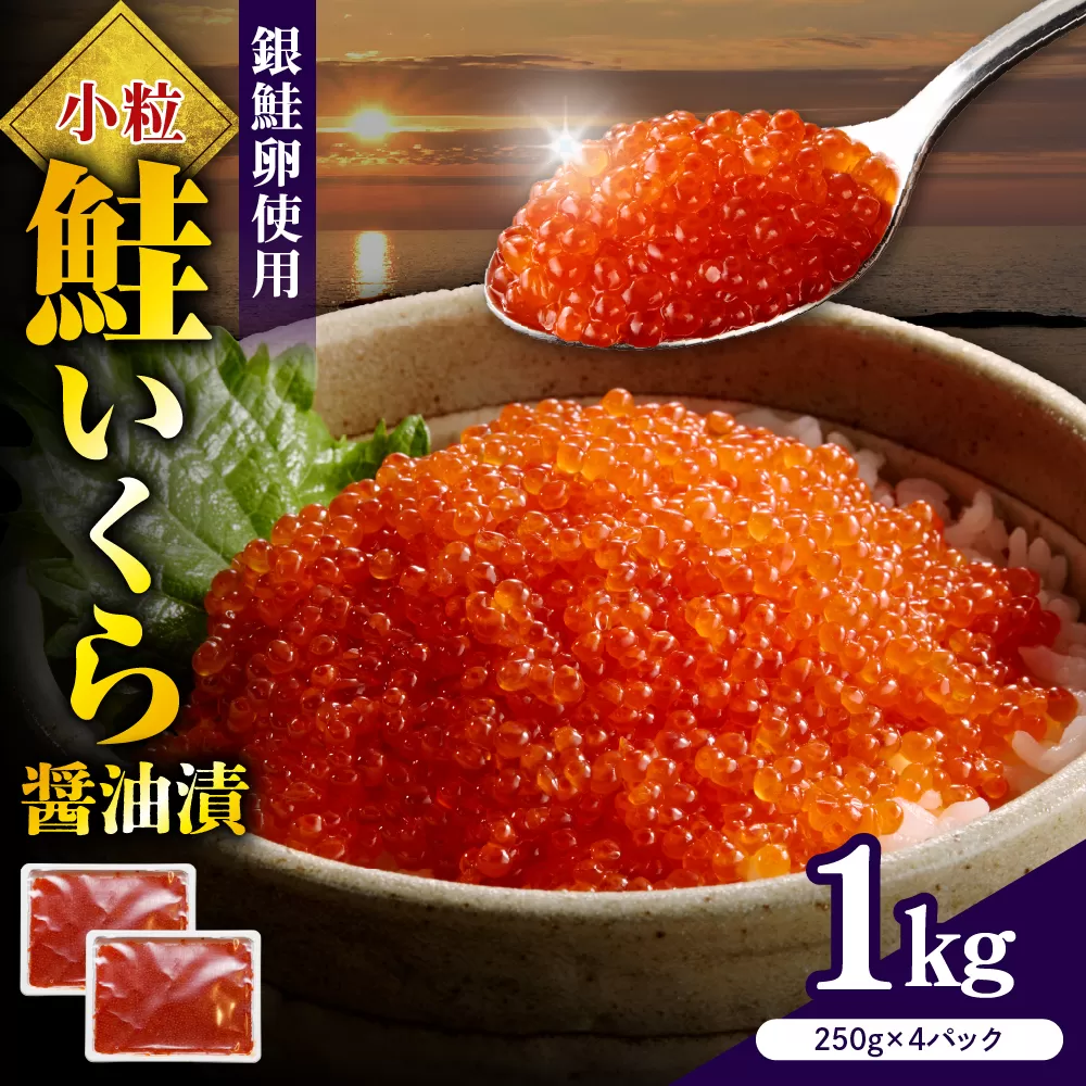 えりも【マルデン特製】鮭いくら醤油漬け250g×4箱【er002-099】