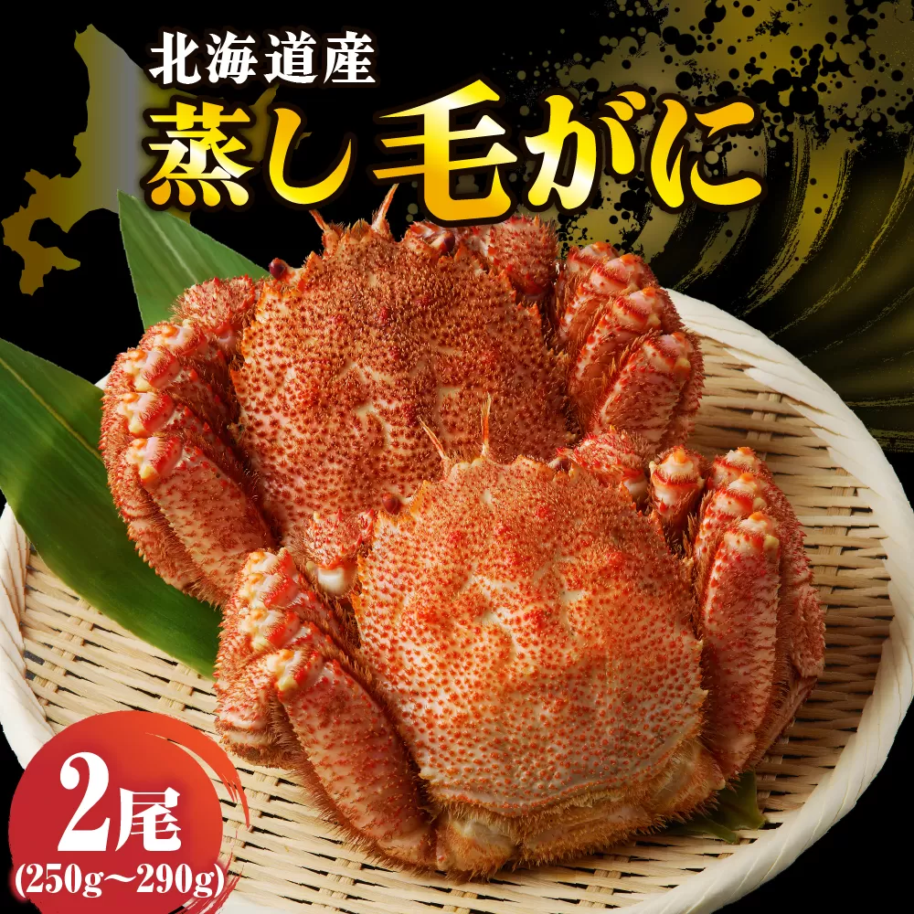 北海道産活蒸し毛蟹約250g～約290g×2尾【er001-108】