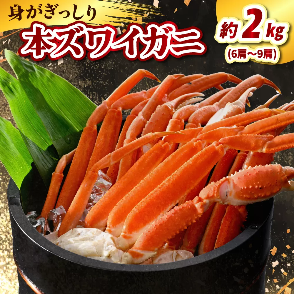 本ズワイガニ6肩～9肩（約2㎏）【er021-006】かに 蟹 ズワイガニ ずわい蟹 ズワイ ボイル 茹で カニ足 脚 足 蟹脚 蟹足 魚介 魚介類 海鮮 海の幸 海産物 水産加工品 加工品 加工食品 冷凍 北海道 えりも町