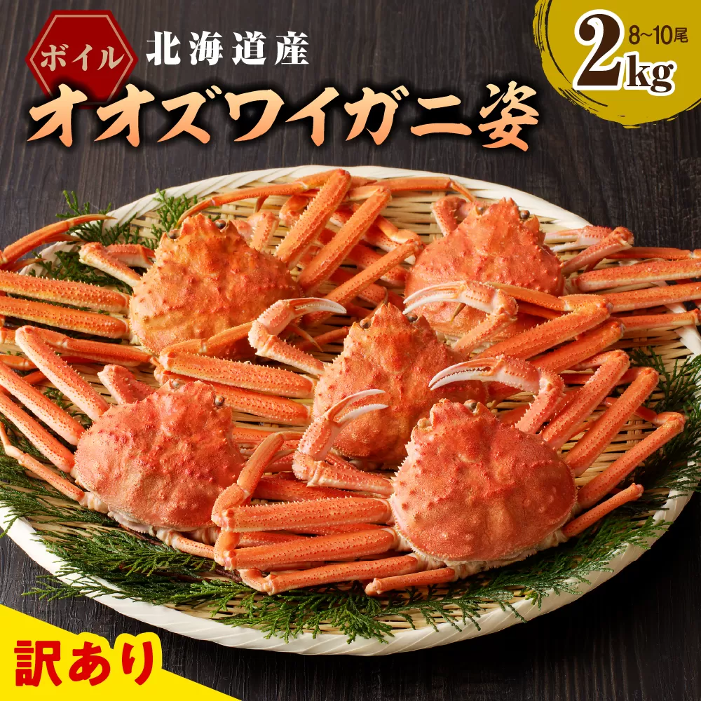 えりも【マルデン特製】訳あり ボイルオオズワイガニ姿2kg《1kg(４尾～５尾)×2》【er002-051-a】